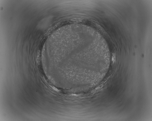 X0000080810867200701051148