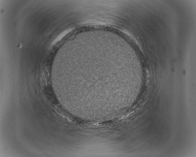 X0000080810871200701051147