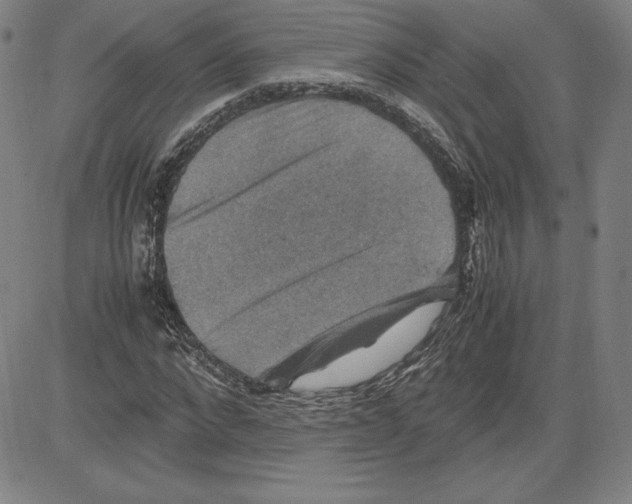 X0000080810872200701051147