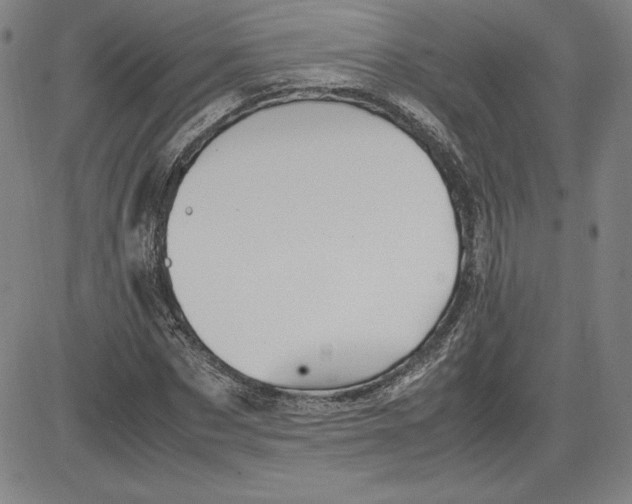 X0000080810873200701051147