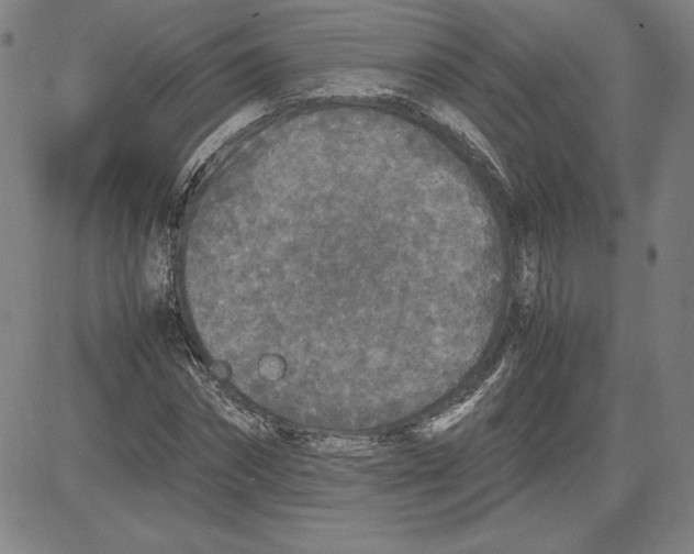 X0000080810874200701051147