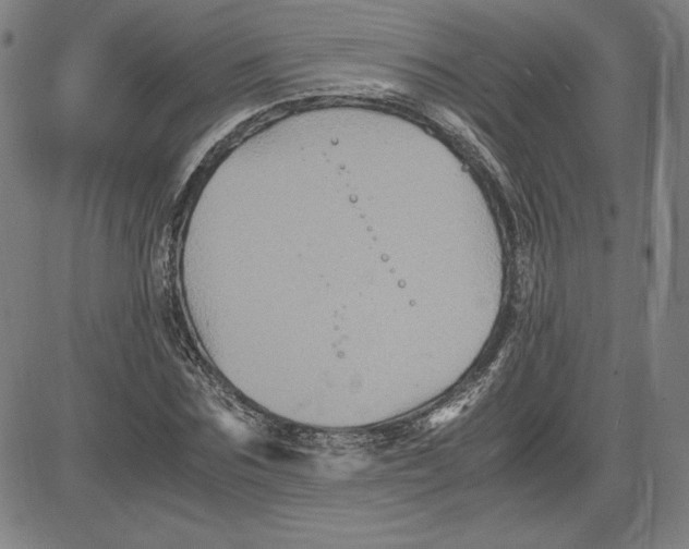 X0000080810875200701051147