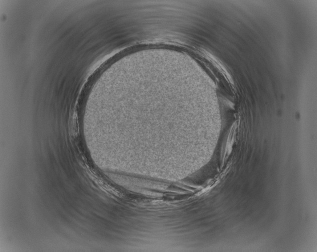 X0000080810876200701051147