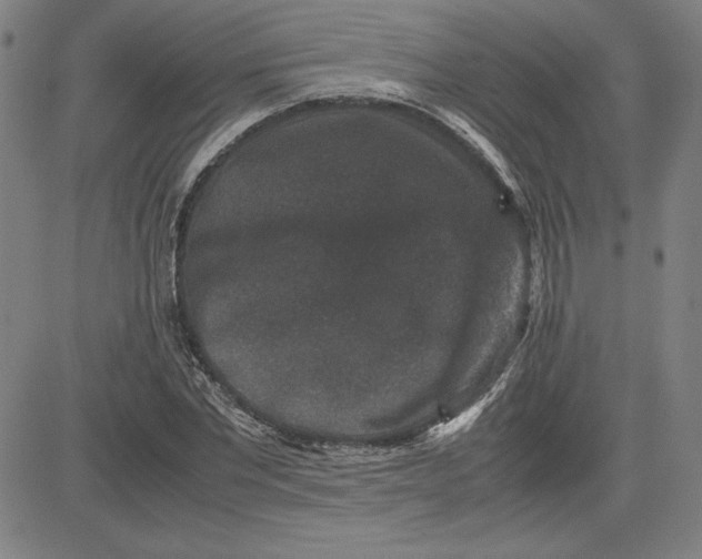 X0000080810877200701051147