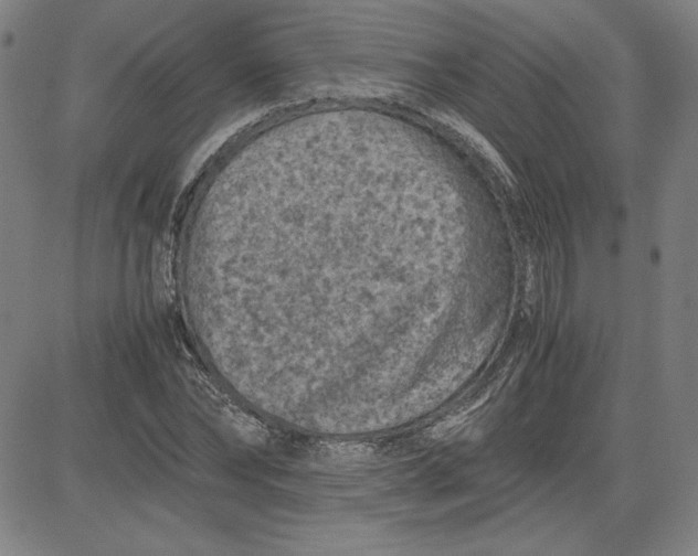 X0000080810878200701051147