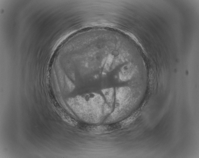 X0000080810879200701051147