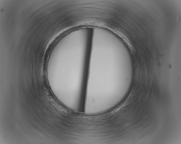 X0000080810880200701051147