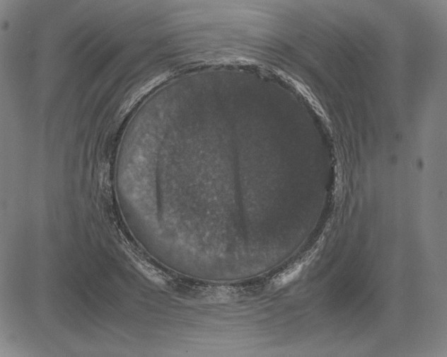 X0000080810881200701051147