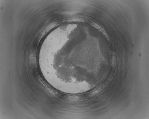 X0000080810882200701051147