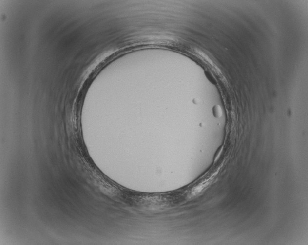 X0000080810883200701051147