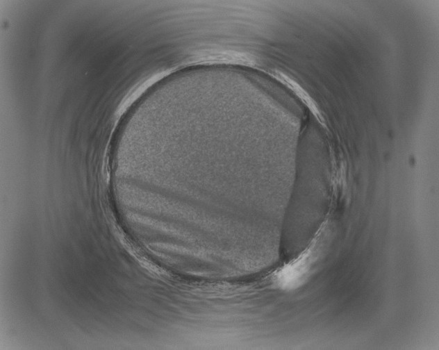 X0000080810885200701051147