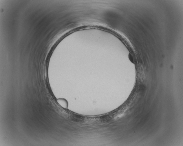 X0000080810887200701051147