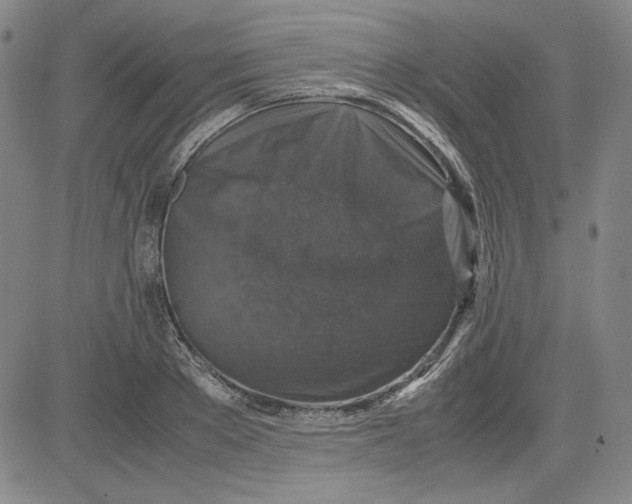 X0000080810889200701051147