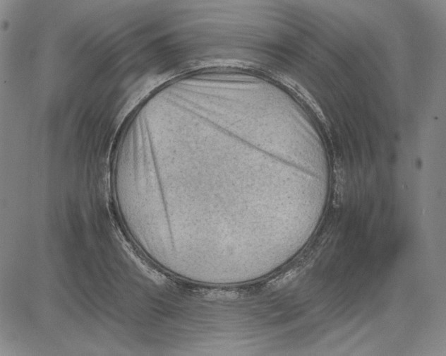 X0000080810890200701051147