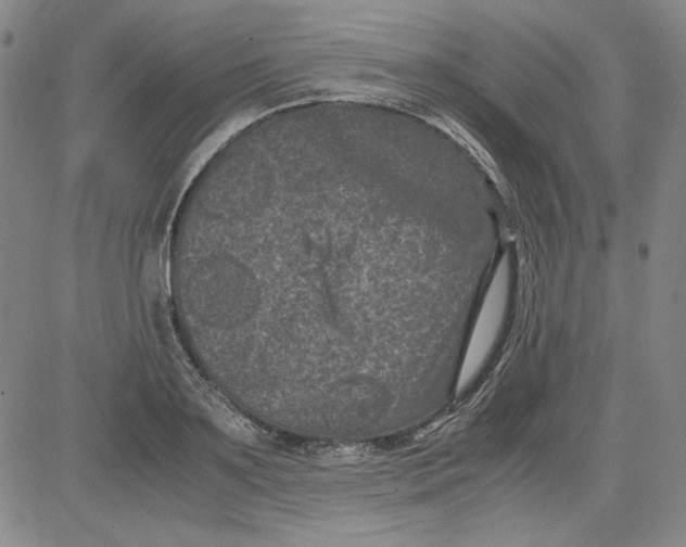 X0000080810891200701051147