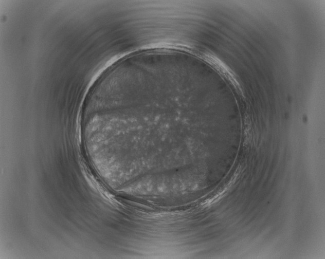 X0000080810892200701051147