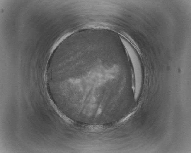 X0000080810893200701051147