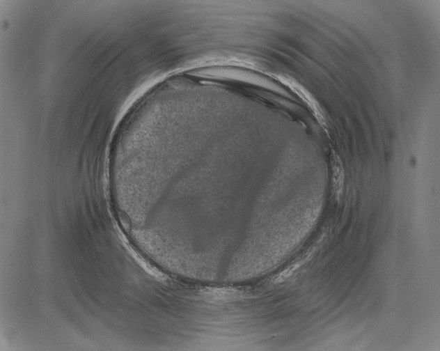 X0000080810894200701051147