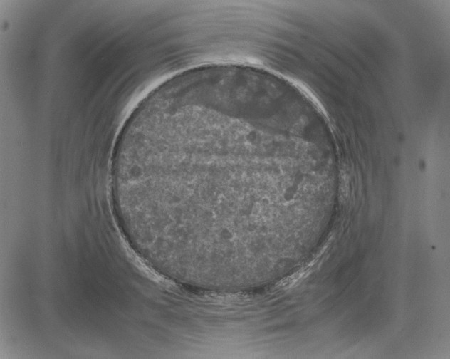 X0000080810895200701051147