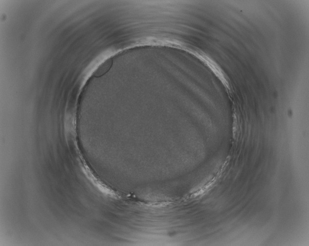 X0000080810896200701051147