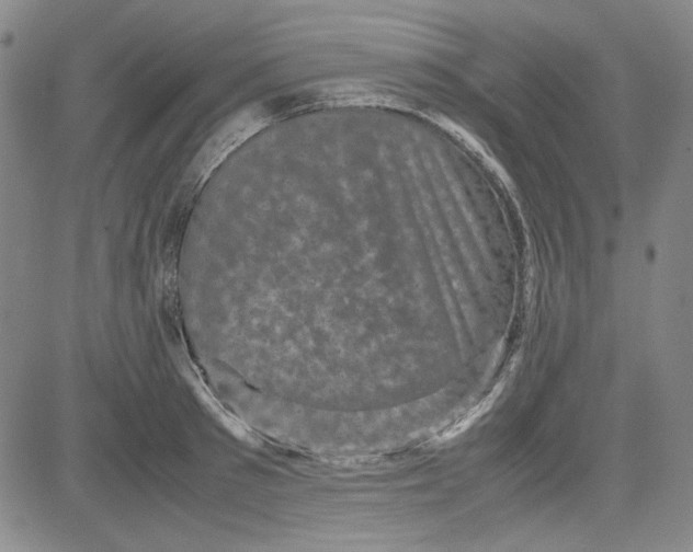 X0000080810897200701051147