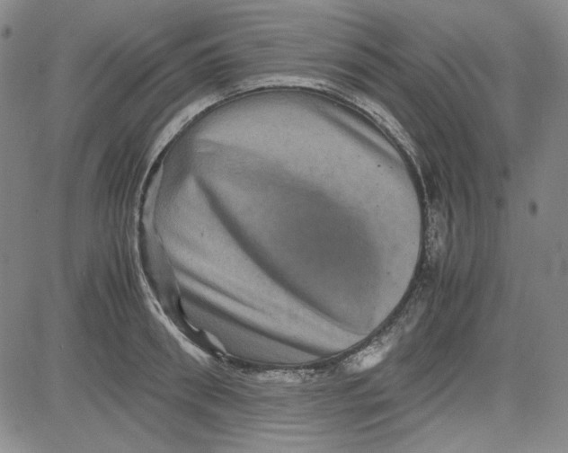 X0000080810898200701051147