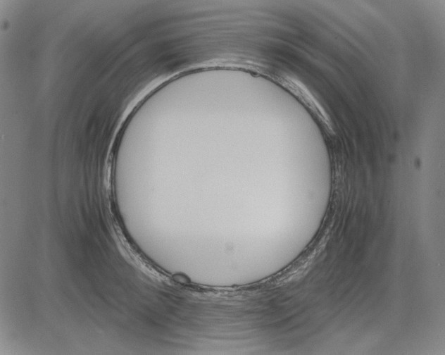 X0000080810900200701051147