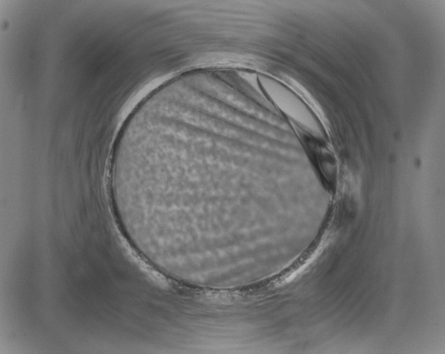 X0000080810901200701051147