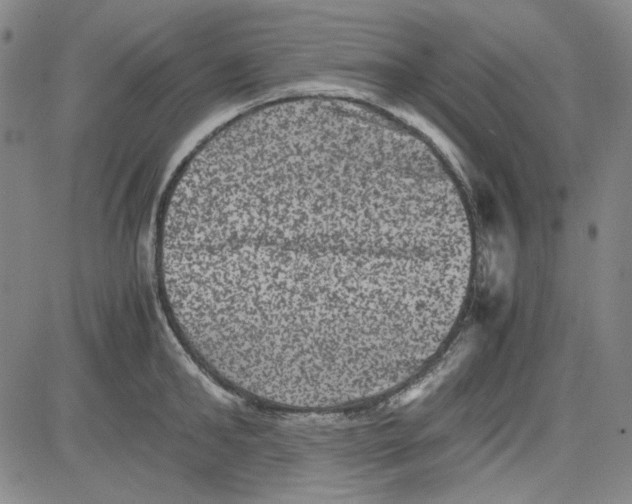 X0000080810902200701051147