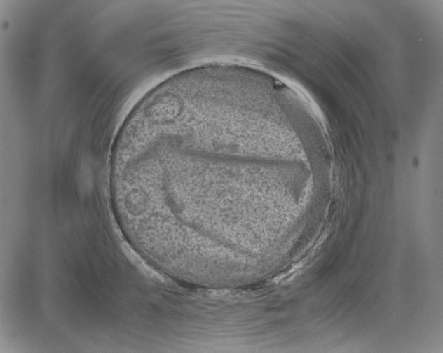 X0000080810903200701051147