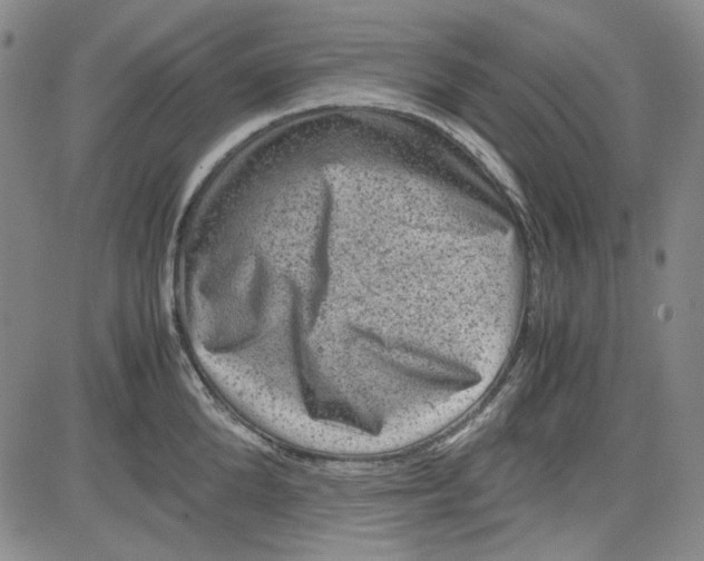 X0000080810904200701051147