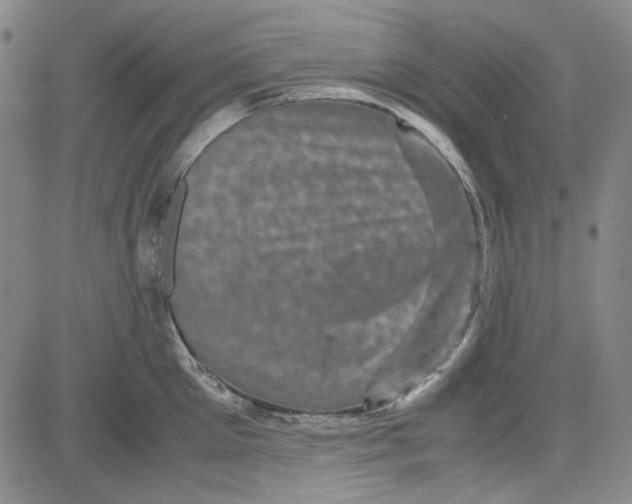 X0000080810905200701051147