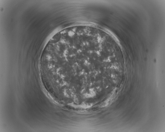 X0000080810907200701051147