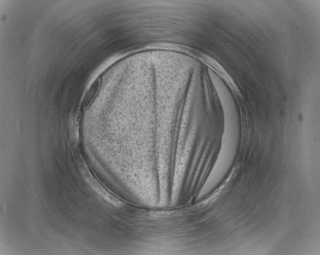 X0000080810908200701051147