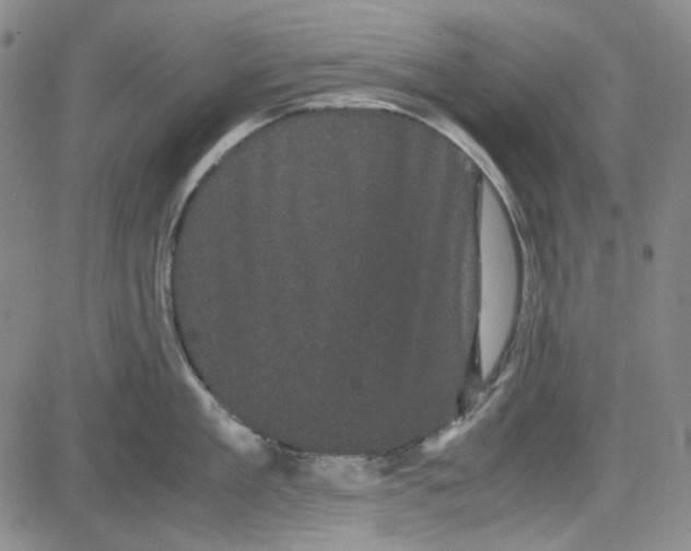 X0000080810909200701051147