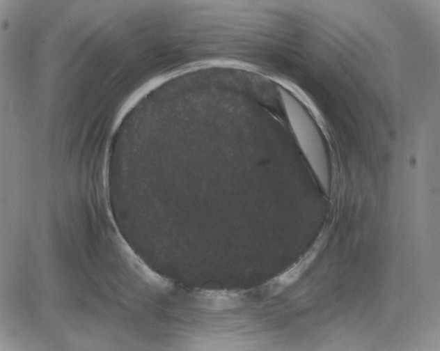 X0000080810910200701051147