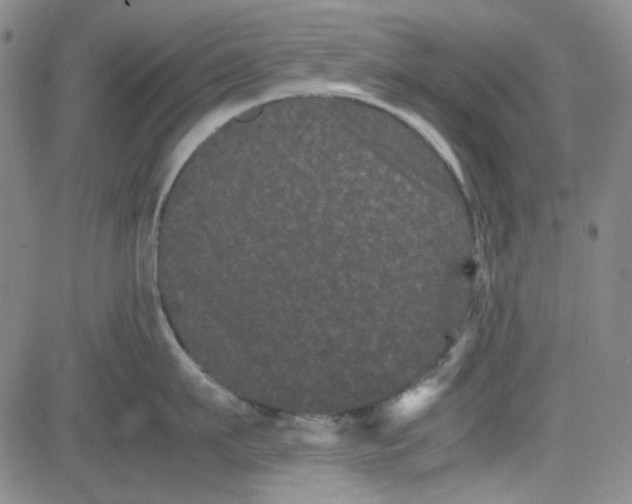 X0000080810911200701051147