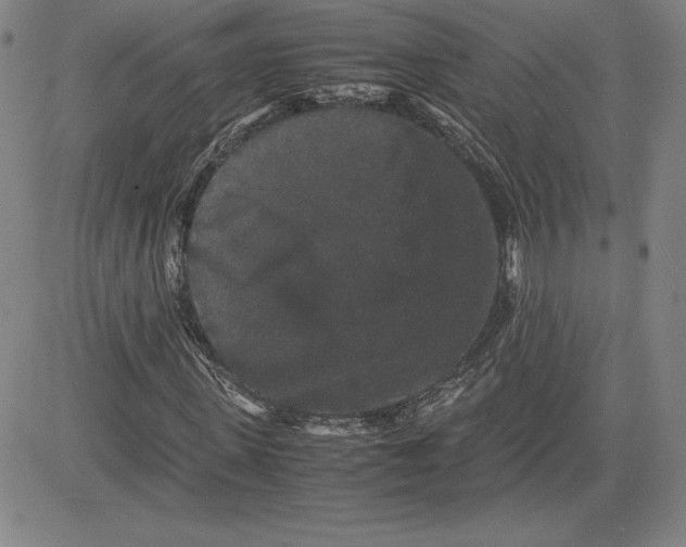 X0000080810915200701051146