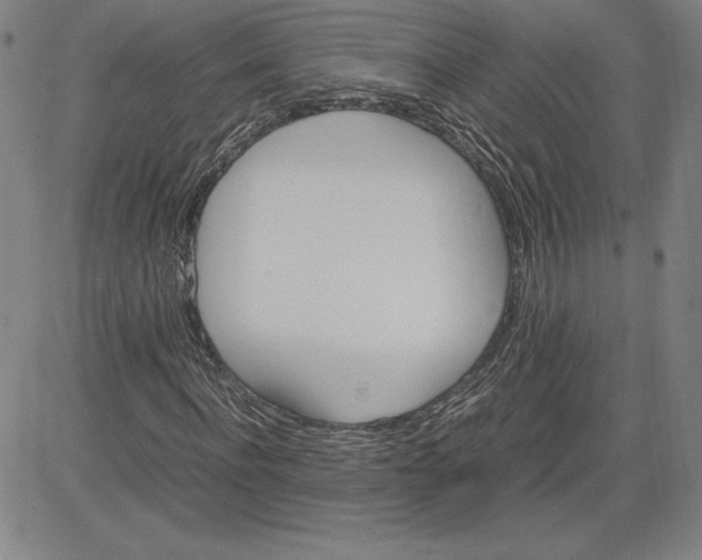 X0000080810916200701051146