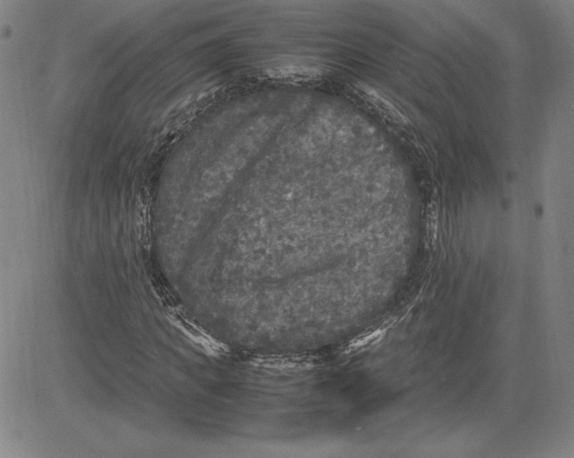 X0000080810917200701051146