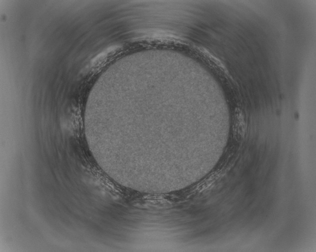 X0000080810918200701051146