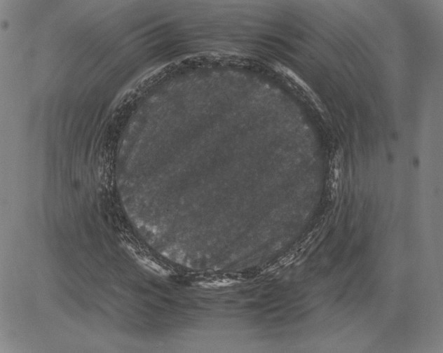 X0000080810919200701051146