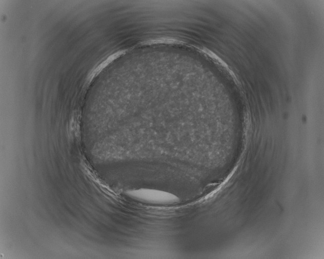 X0000080810921200701051146