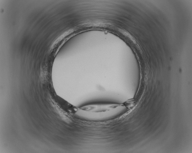 X0000080810922200701051146