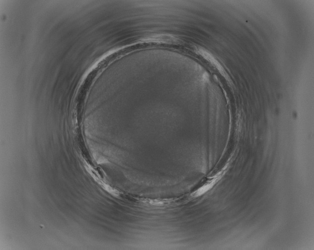 X0000080810923200701051146