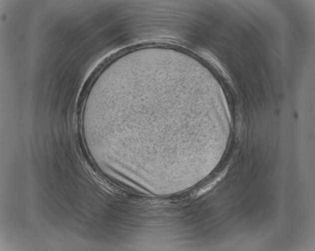 X0000080810924200701051146