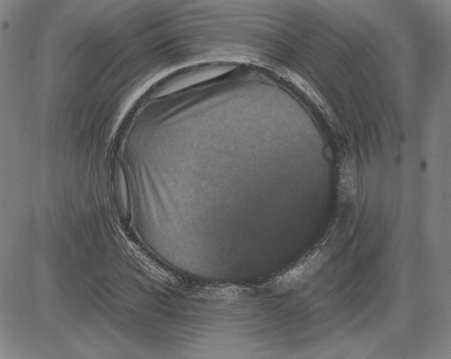 X0000080810926200701051146