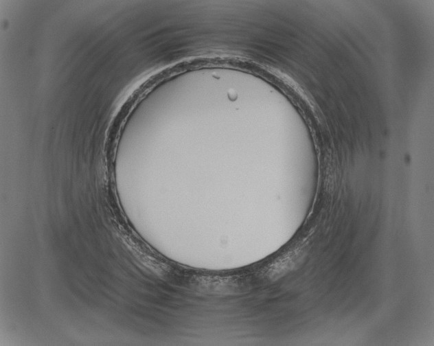 X0000080810927200701051146