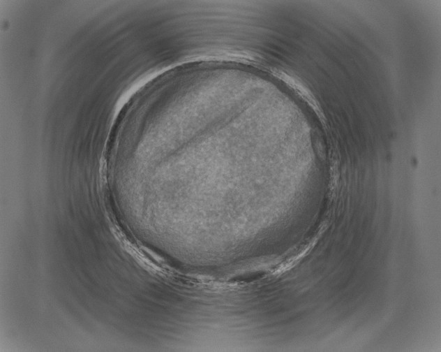 X0000080810928200701051146