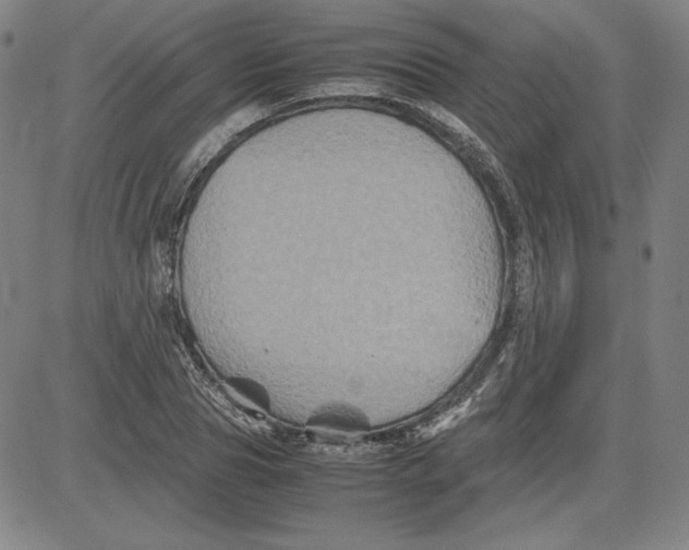 X0000080810929200701051146